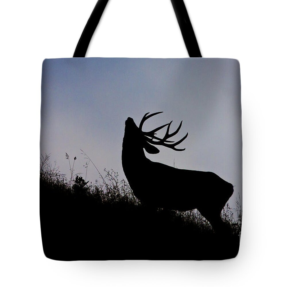 Buck Tote Bag featuring the photograph Skyline Monarch by Douglas Kikendall