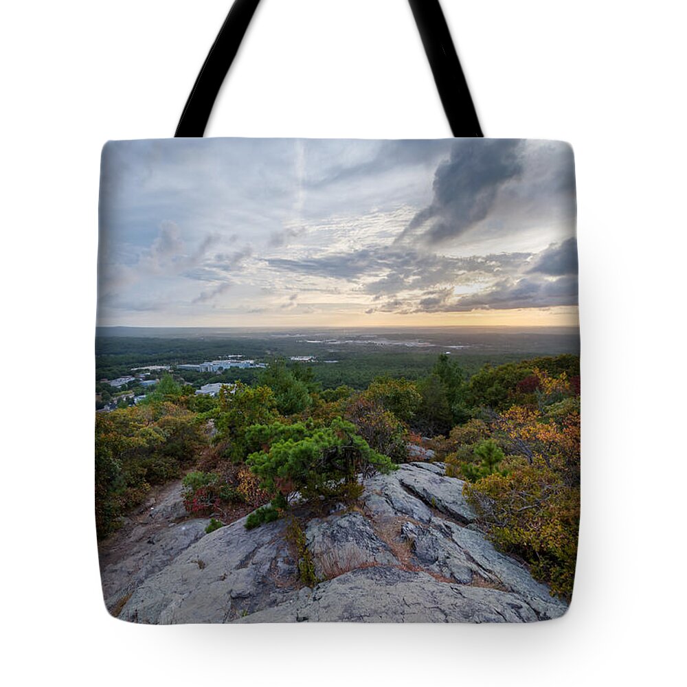 Landscape Tote Bag featuring the photograph Skyline Trail Vista by Brian MacLean