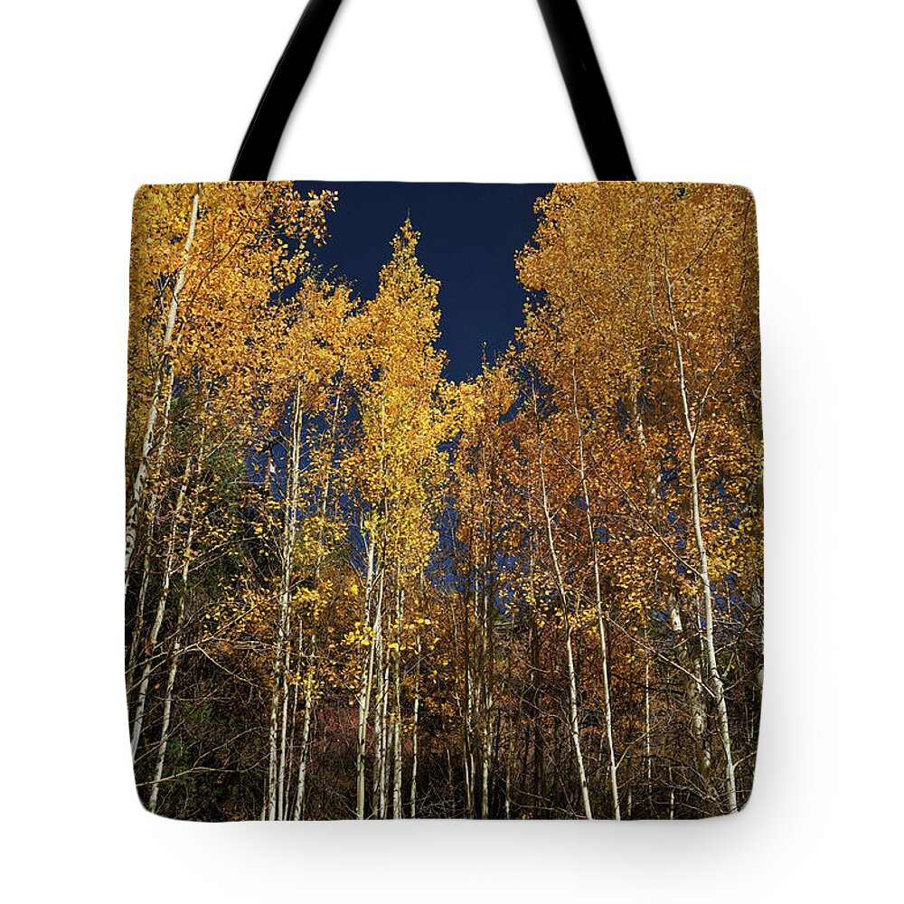 Landscape Tote Bag featuring the photograph Skyward Aspens by Ron Cline