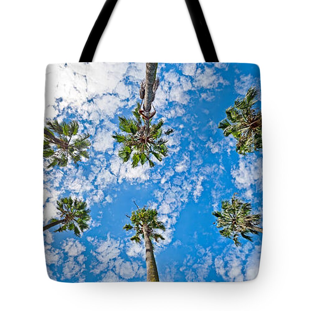 Skyward Palms Tote Bag featuring the photograph Skyward Palms by Az Jackson