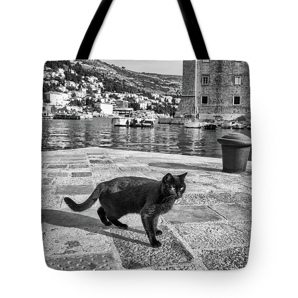 Black Cat Tote Bag featuring the photograph Sleek in Stari Grad by Becqi Sherman
