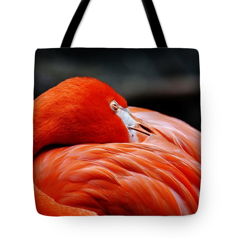 Sleeping Flamingo Tote Bag featuring the photograph Sleeping Beauty by Julie Adair