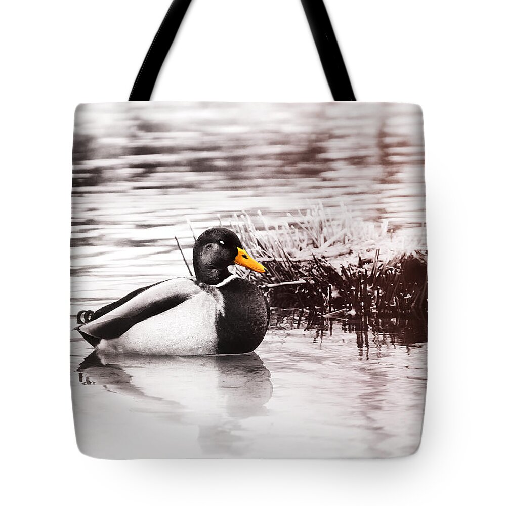 Duck Tote Bag featuring the photograph Sleeping Duck by Jaroslav Buna