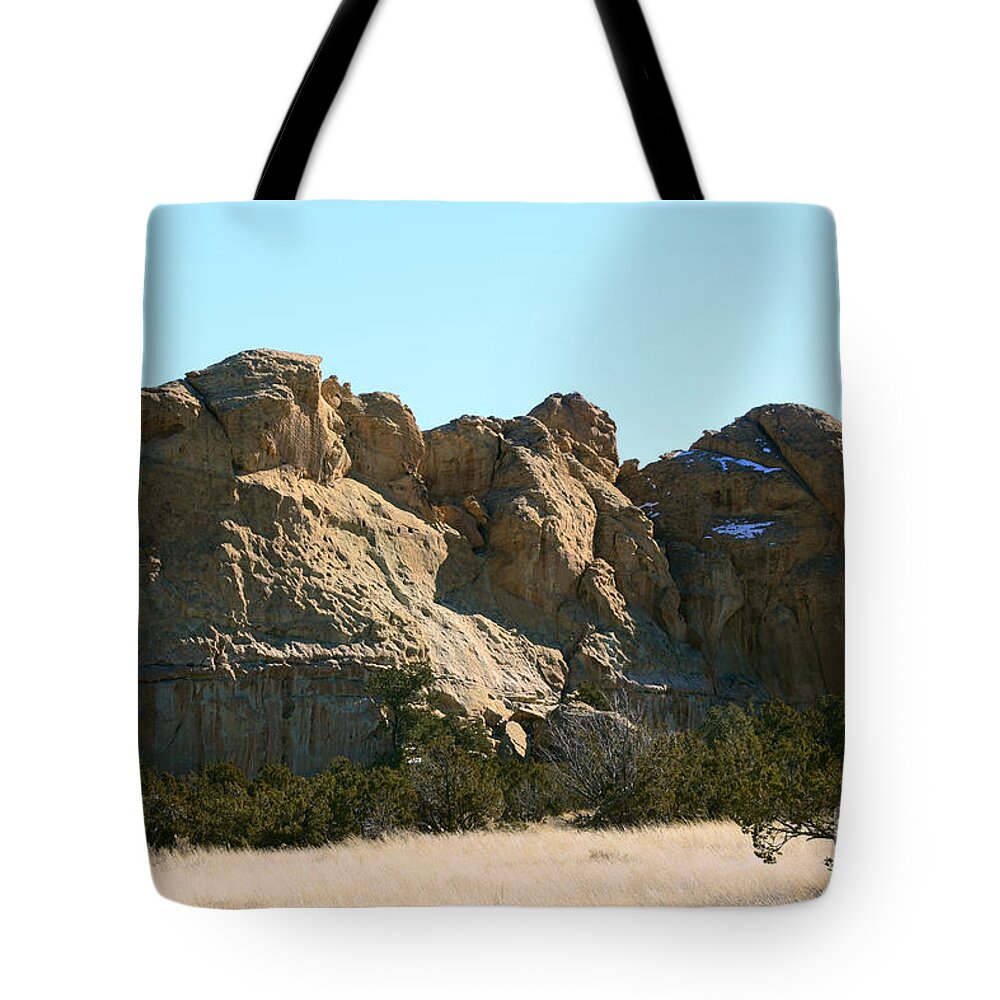 Southwest Landscape Tote Bag featuring the photograph Sleeping elephant by Robert WK Clark