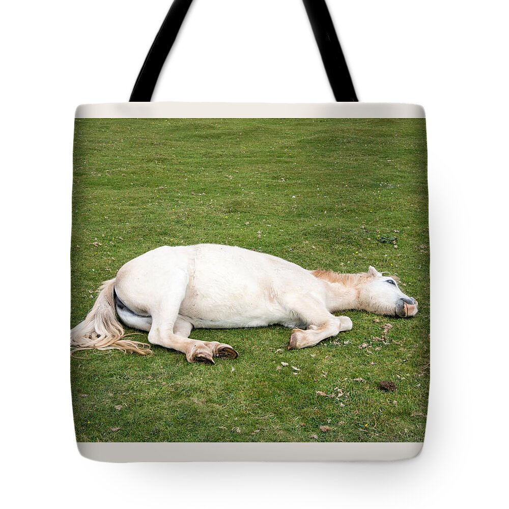Horse Tote Bag featuring the photograph Sleeping Horse by Roy Pedersen
