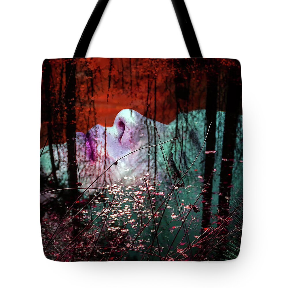 Autumn Tote Bag featuring the photograph Sleeping in the autumn by Gabi Hampe