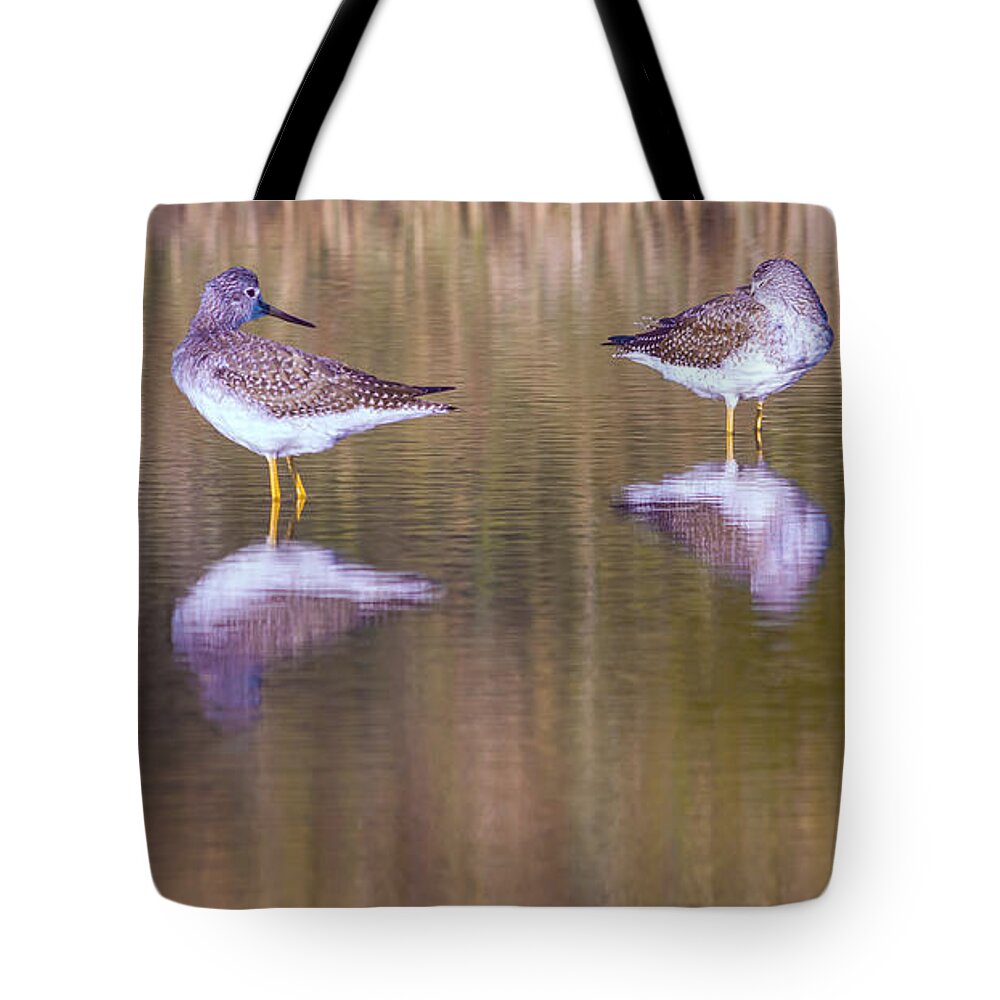 Nature Tote Bag featuring the photograph Sleeping Now? by Jonathan Nguyen