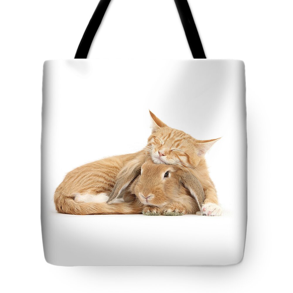 Sandy Lionhead Lop Tote Bag featuring the photograph Sleeping on Bun by Warren Photographic