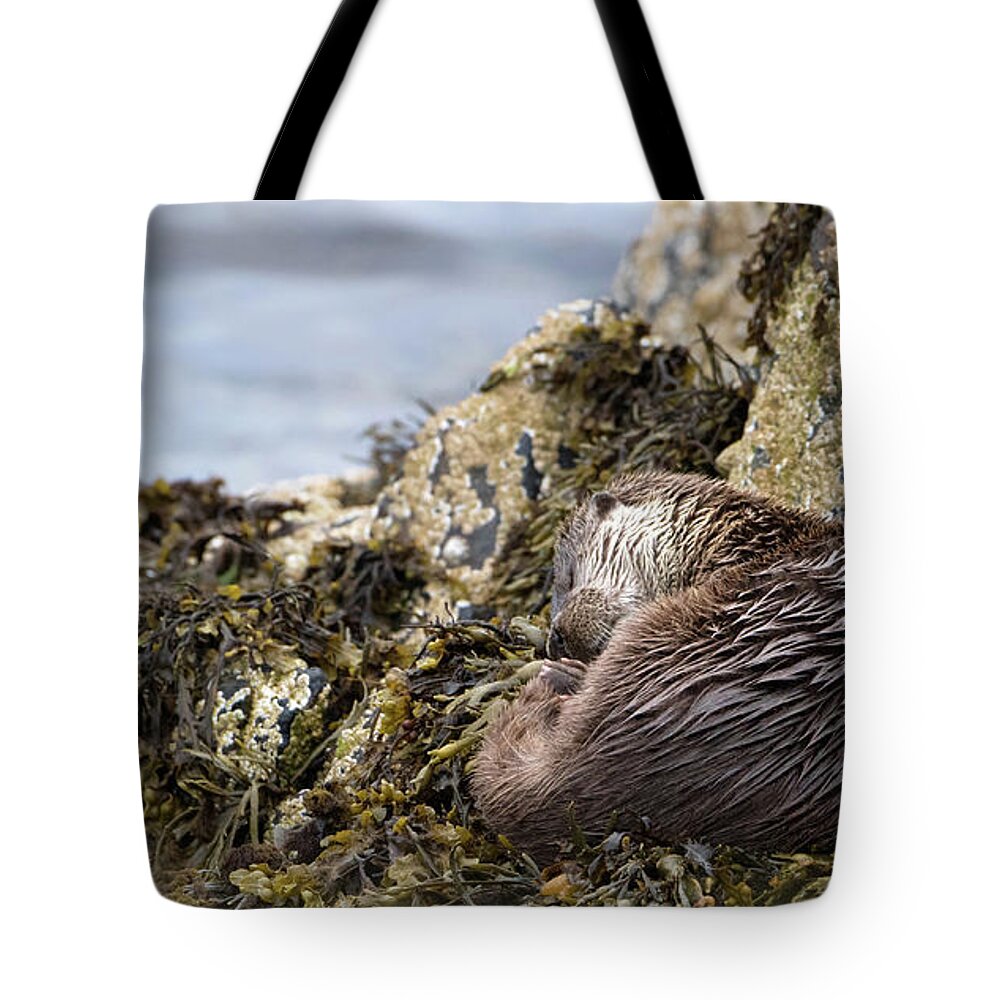 Otter Tote Bag featuring the photograph Sleeping Otter by Pete Walkden