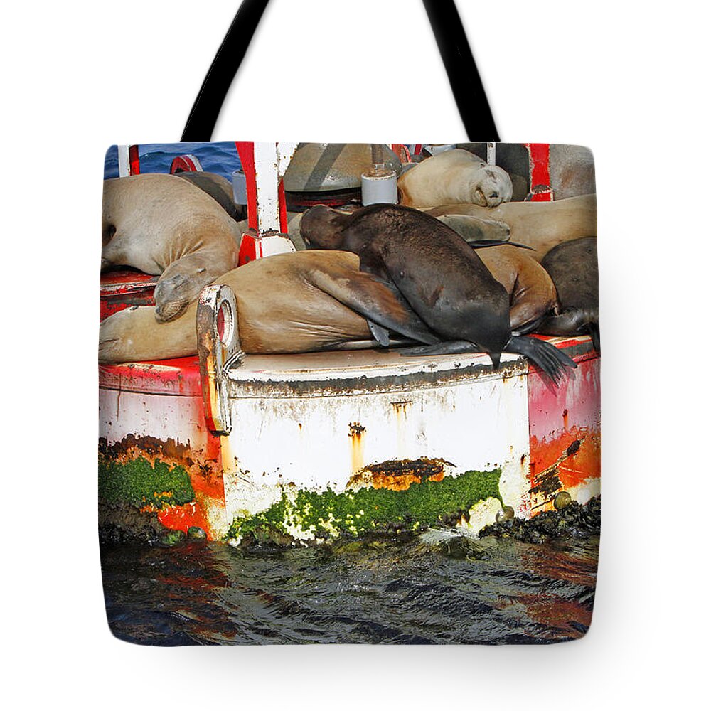 Sea Lions Tote Bag featuring the pyrography Sleeping Pod by Shoal Hollingsworth