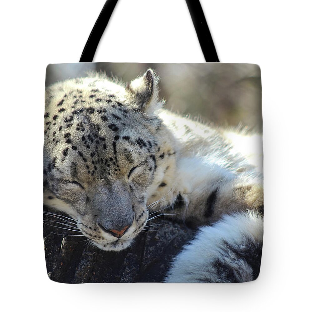 Snow Leopard Tote Bag featuring the photograph Sleeping Snow Leopard by Holly Ross