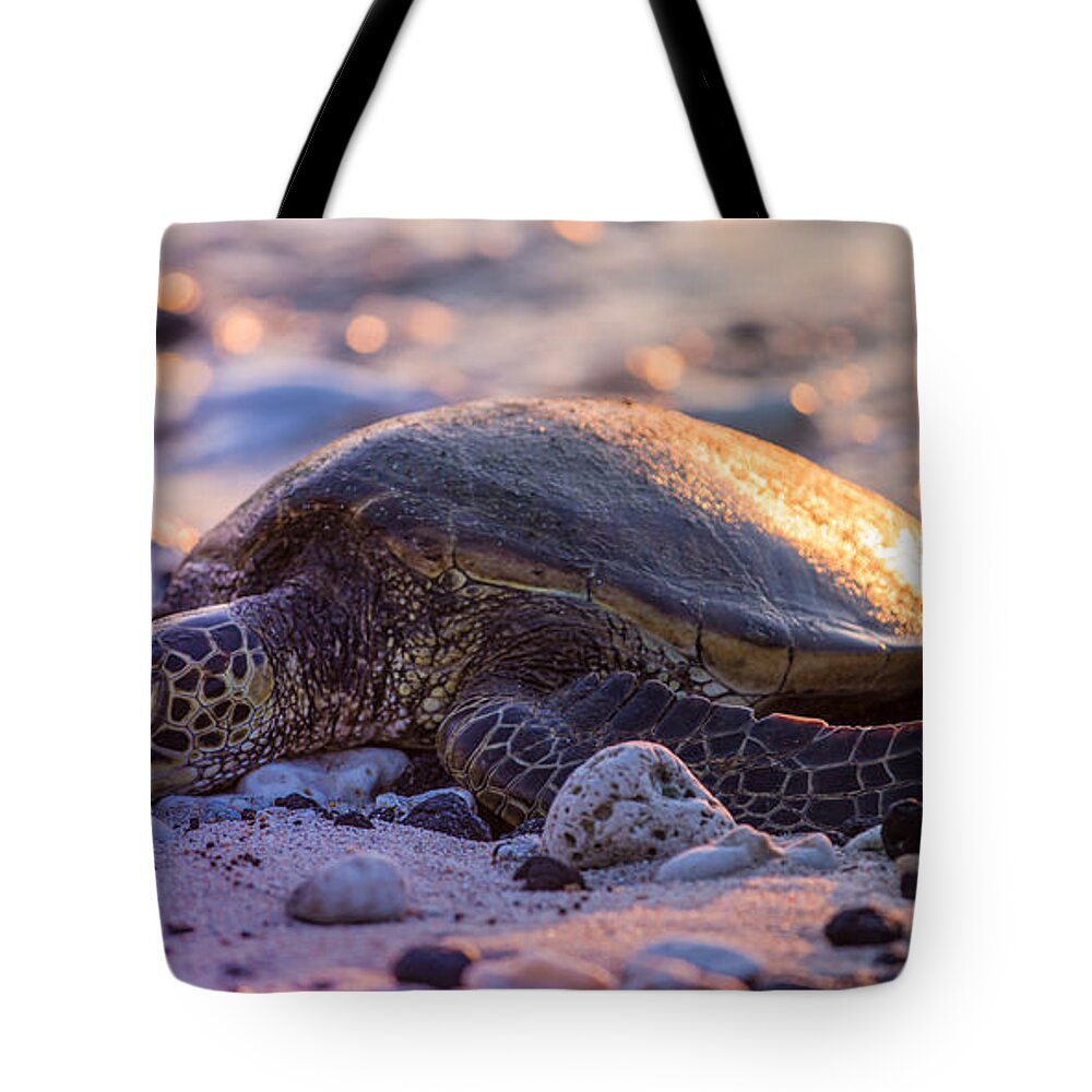 Sam Amato Photography Tote Bag featuring the photograph Sleeping Sunset Turtle by Sam Amato