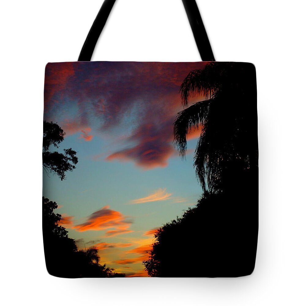 Sunset Tote Bag featuring the photograph Slice of Sunset by Julie Pappas