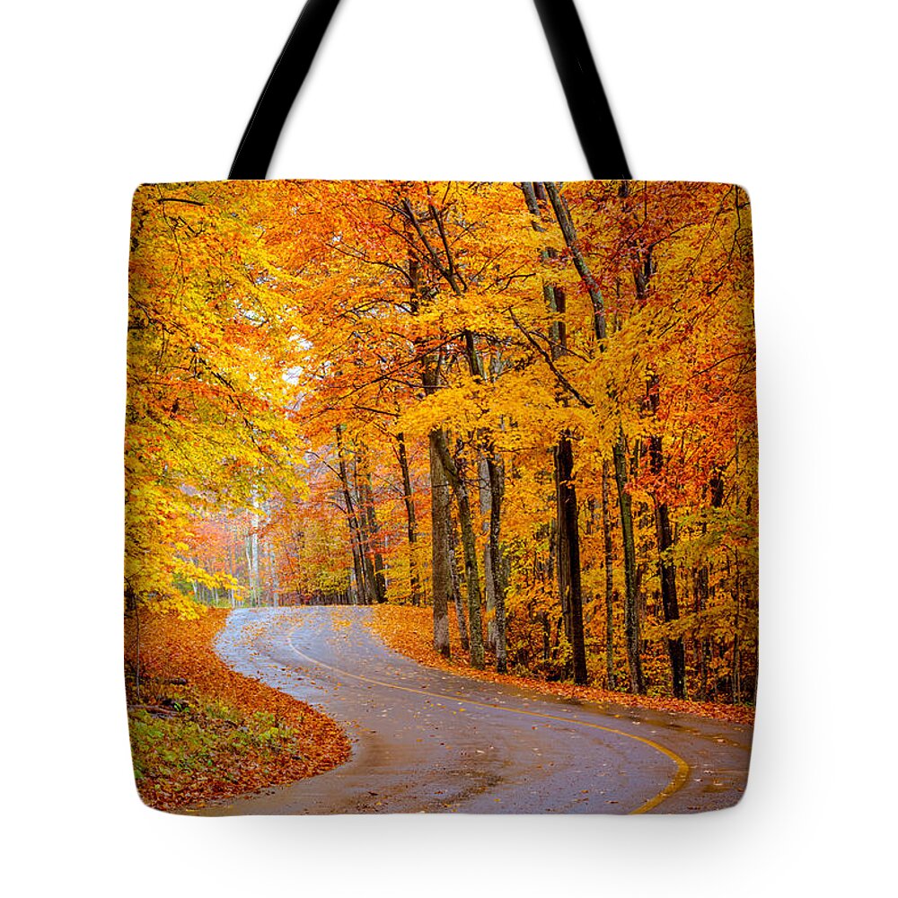 Wisconsin Tote Bag featuring the photograph Slippery Color by David Heilman