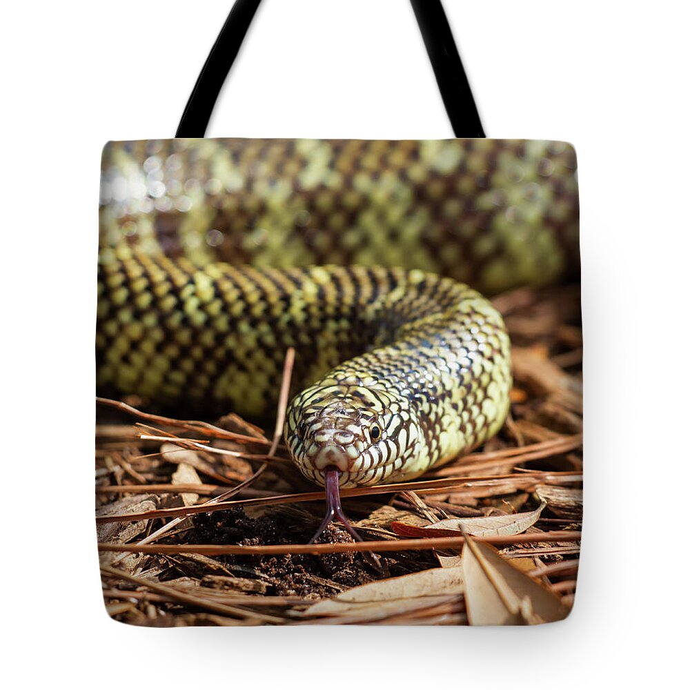 Nature Tote Bag featuring the photograph Slither Snake by Arthur Dodd