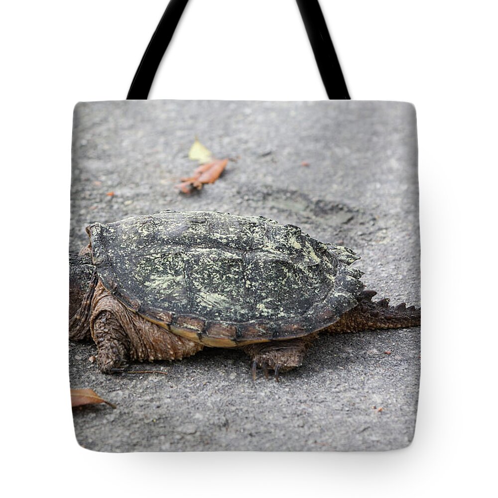 Turtle Tote Bag featuring the photograph Slow Crossing 3 March 2018 by D K Wall