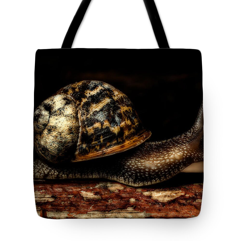 Birds & Animals Tote Bag featuring the photograph Slow Mover by Nick Bywater