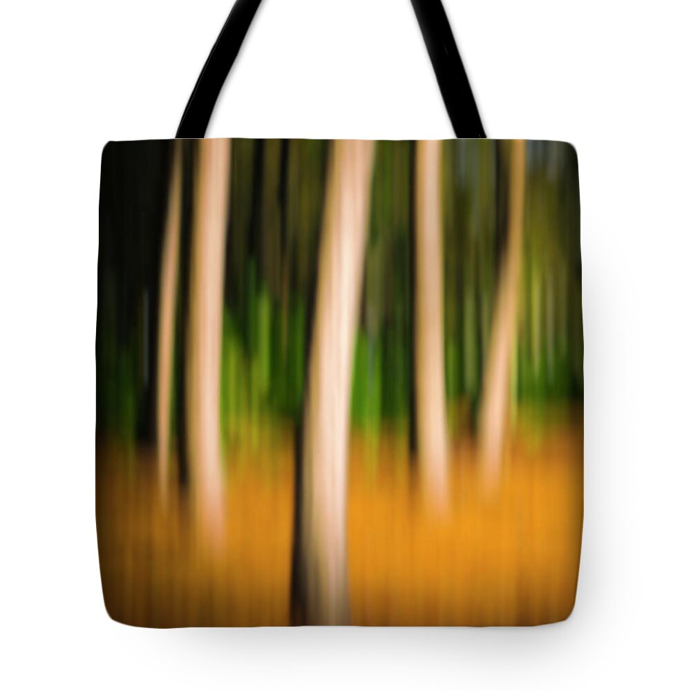  Tote Bag featuring the photograph Slower Than Life by Hugh Walker