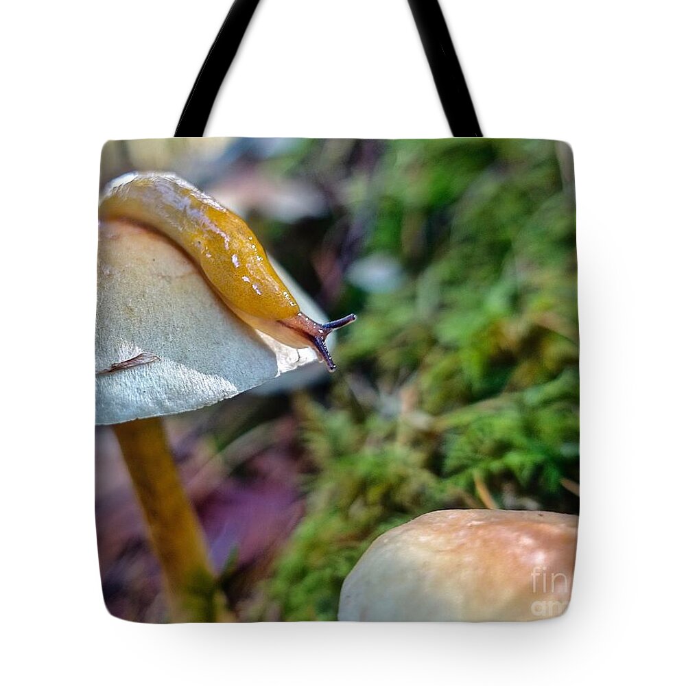 Rar Tote Bag featuring the photograph Slug Met Mushroom by Elisabeth Derichs