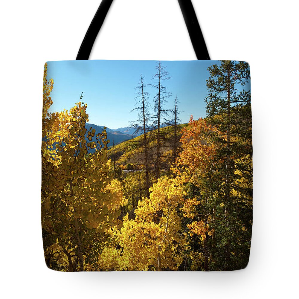 Slumgullion Pass Tote Bag featuring the photograph Slumgullion Pass Autumn Landscape by Cascade Colors
