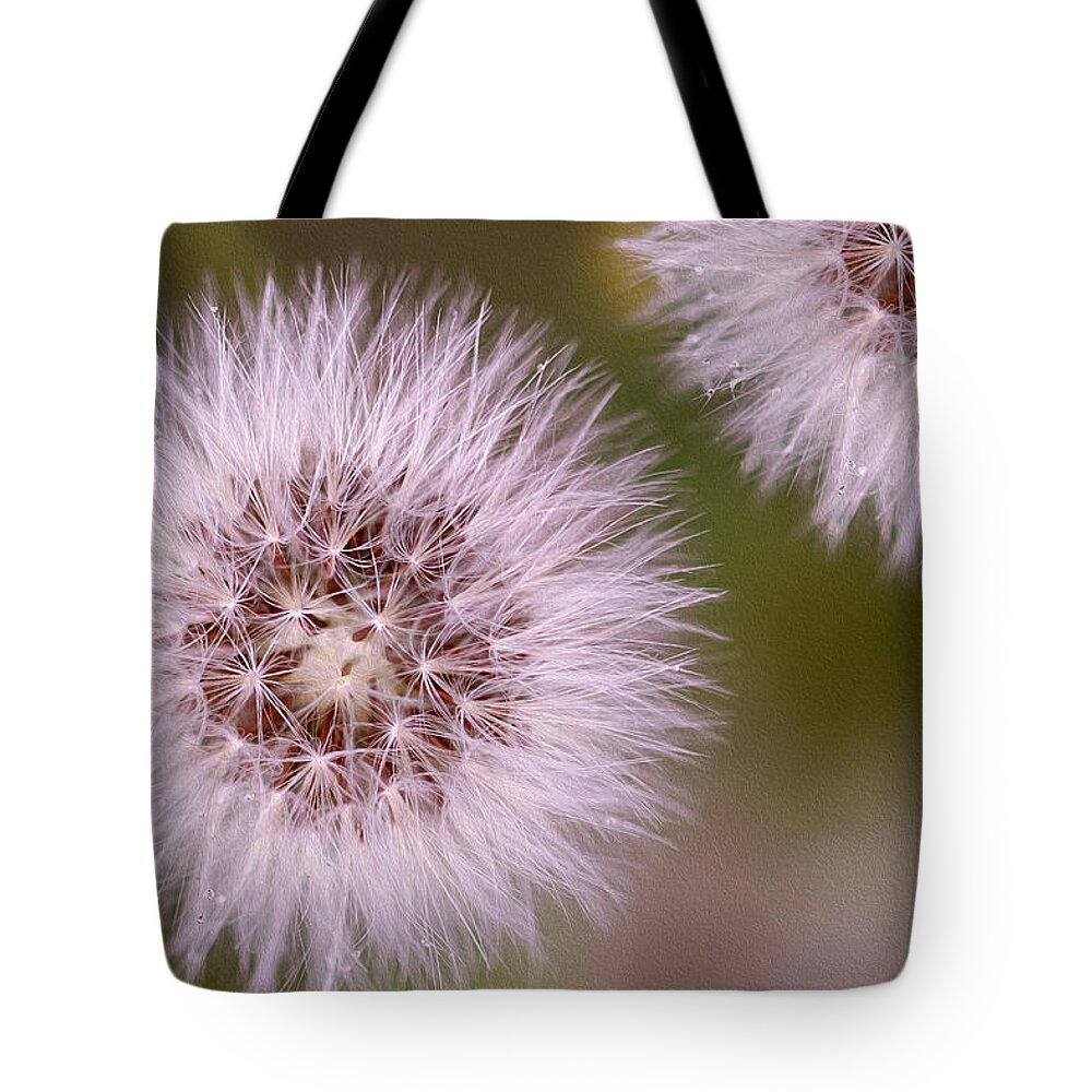 Seeds Tote Bag featuring the photograph Small acts by Vanessa Thomas