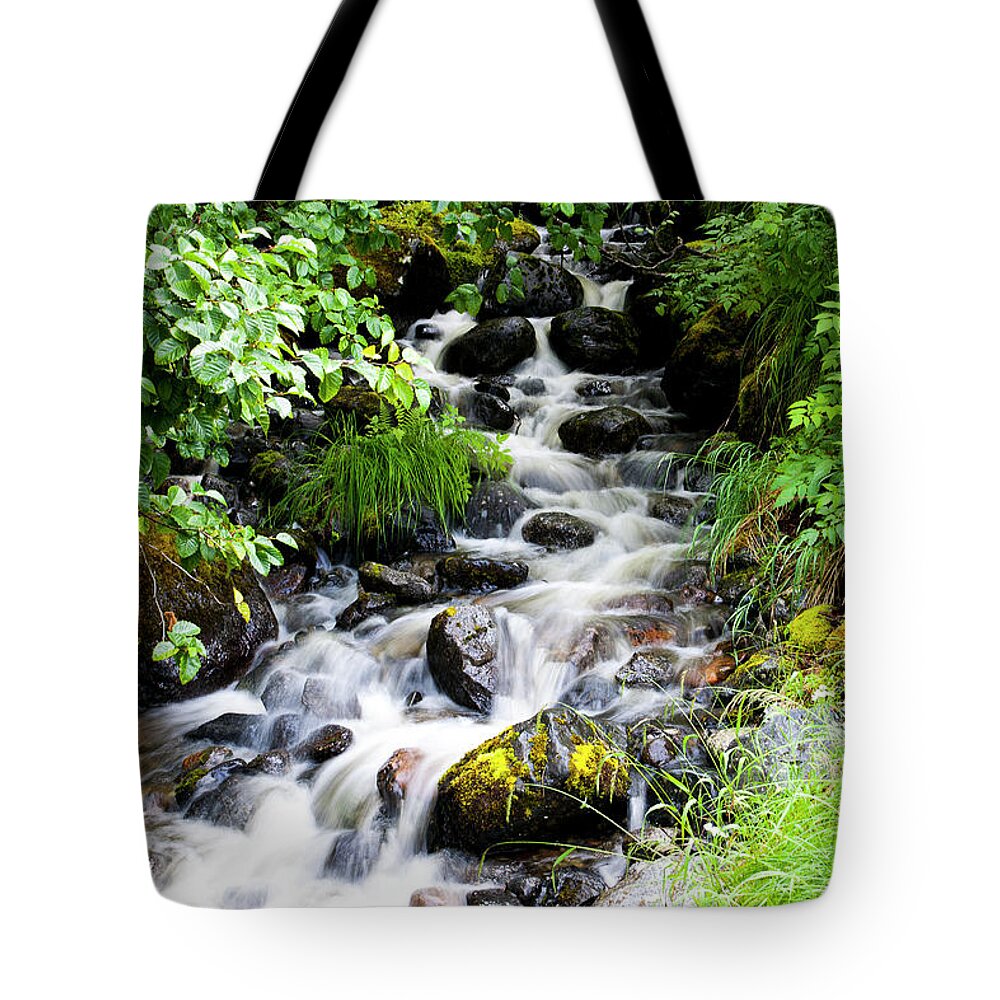 Waterfall Tote Bag featuring the photograph Small Alaskan Waterfall by Anthony Jones