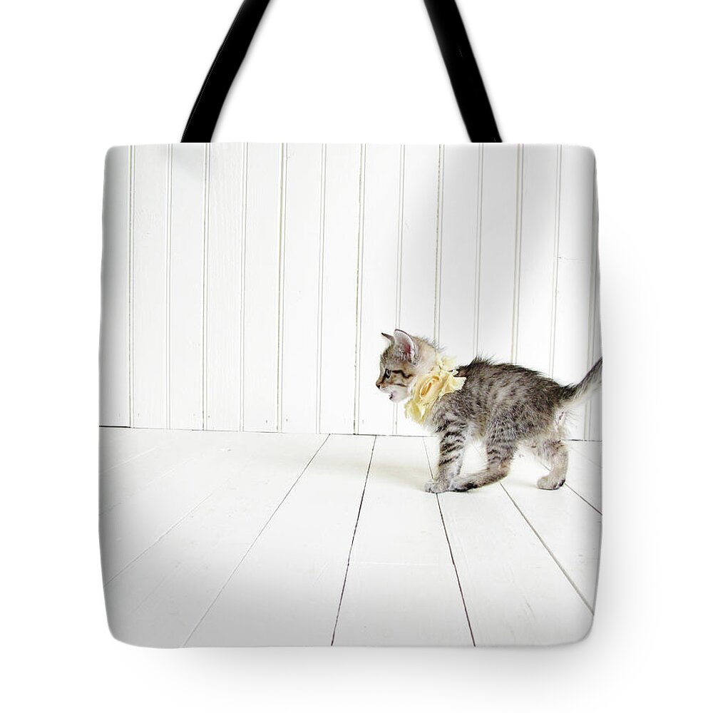 Kitten Tote Bag featuring the photograph Small by Amy Tyler