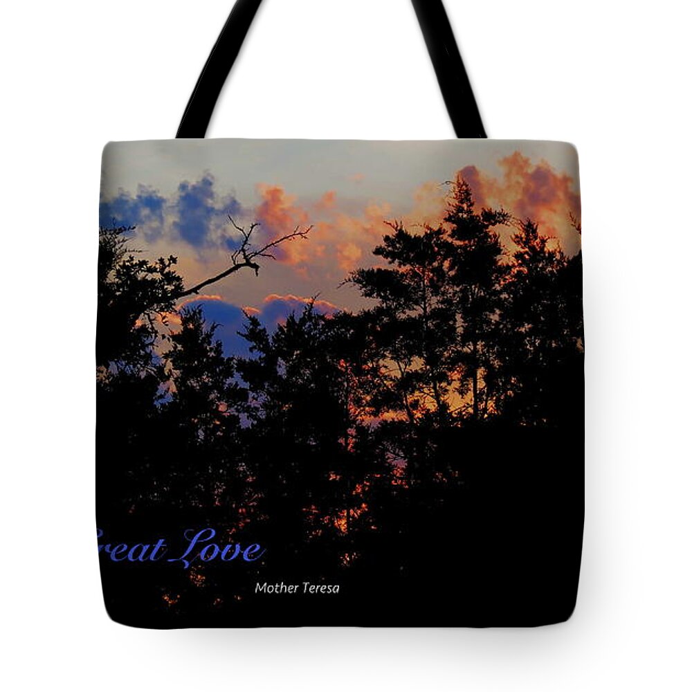  Tote Bag featuring the photograph Small Counts by David Norman