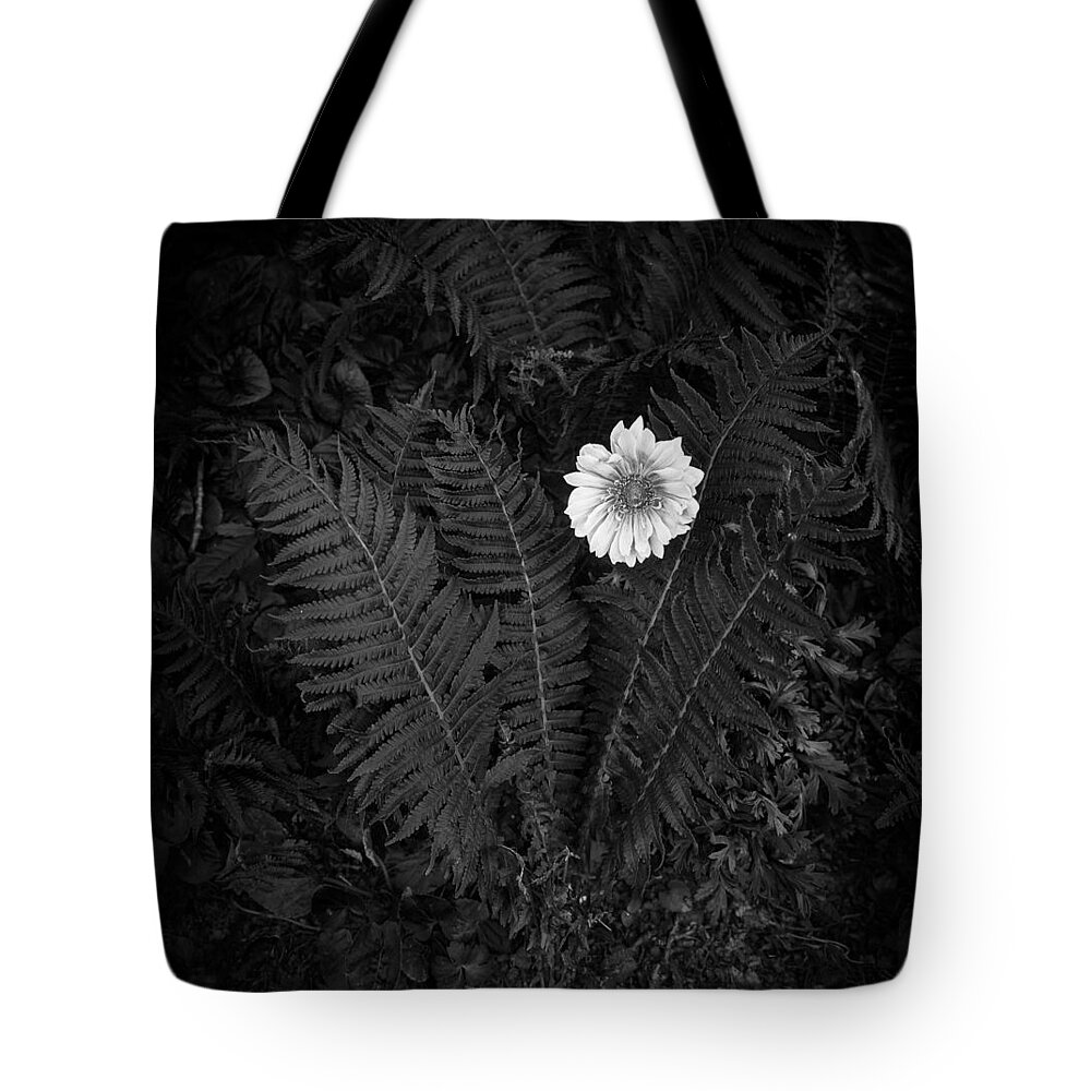 Black And White Tote Bag featuring the photograph Small flower looks forward by Elmer Jensen