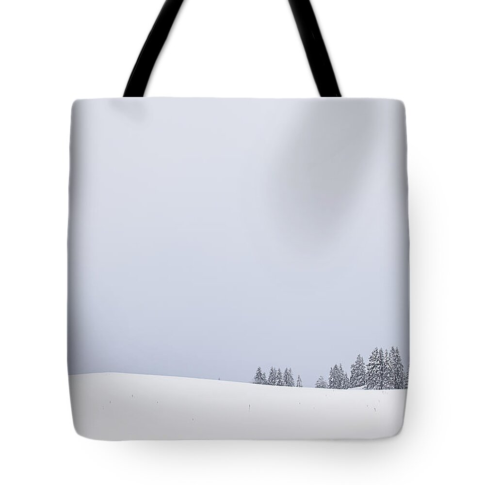 Tree Tote Bag featuring the photograph Small in immensity by Dominique Dubied