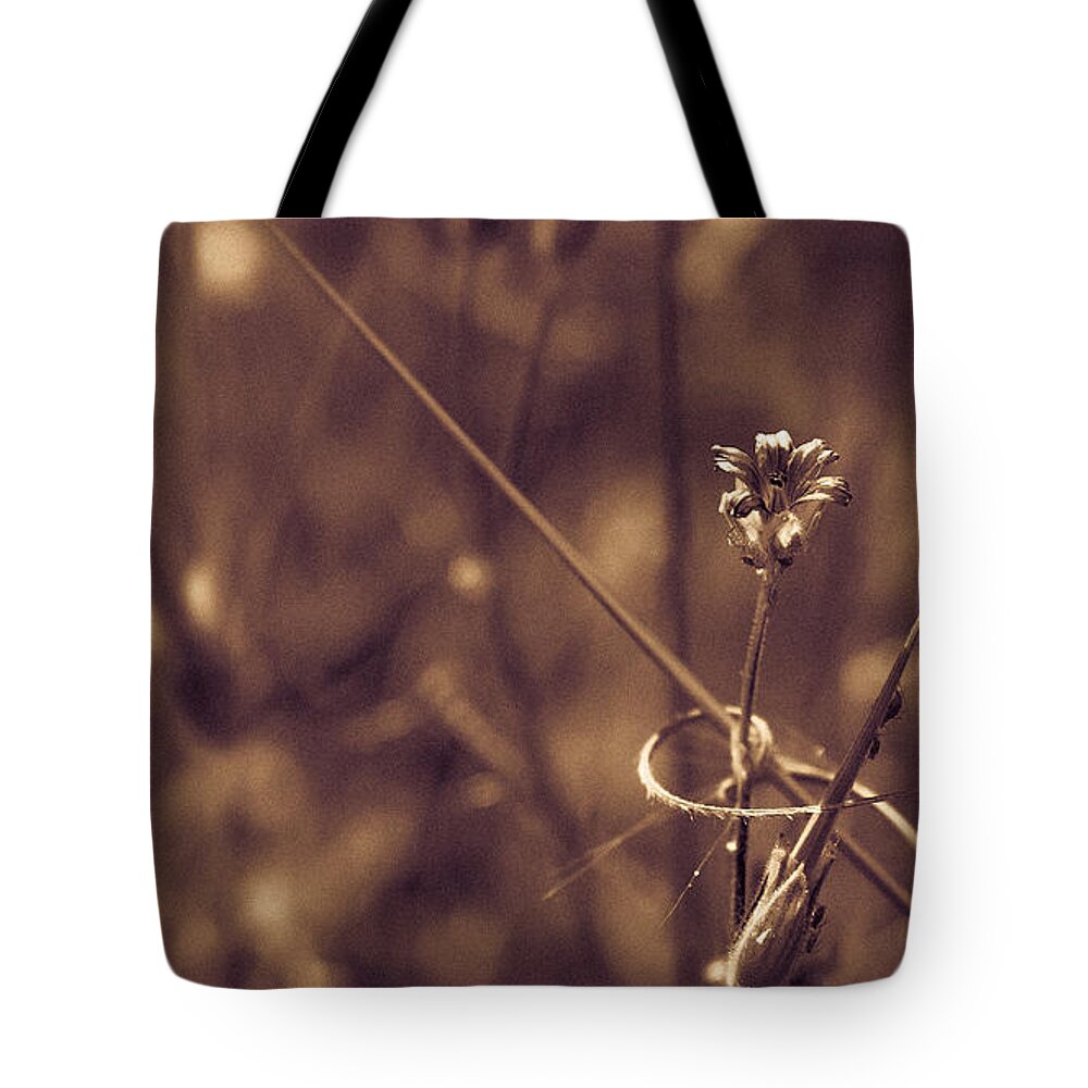 Flower Tote Bag featuring the photograph Small by Lora Lee Chapman
