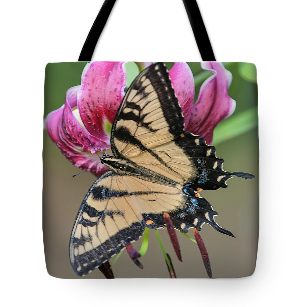 Asiatic Lilies Tote Bag featuring the photograph Smelling the Asiatic Lilies by Jean-Pierre Ducondi