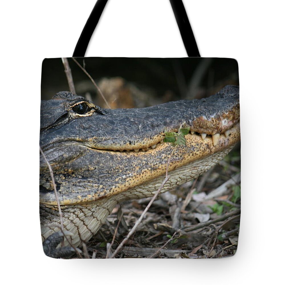 Reptile Tote Bag featuring the photograph Smiley by Lori Moon