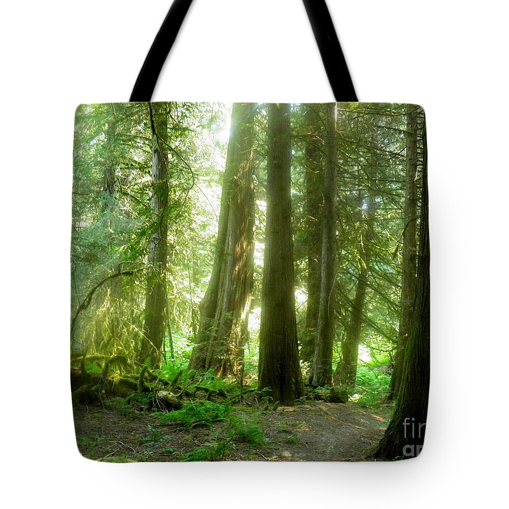 Forest Trees Green Sunlight Brown Yellow White Dark Light Shadow Landscape Trails Smoke Sun Summer Bright Airy Verdant Tote Bag featuring the photograph Smokey Forest by Ida Eriksen