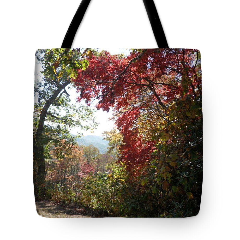 Smoky Mountains Tote Bag featuring the photograph Smokies 13 by Val Oconnor