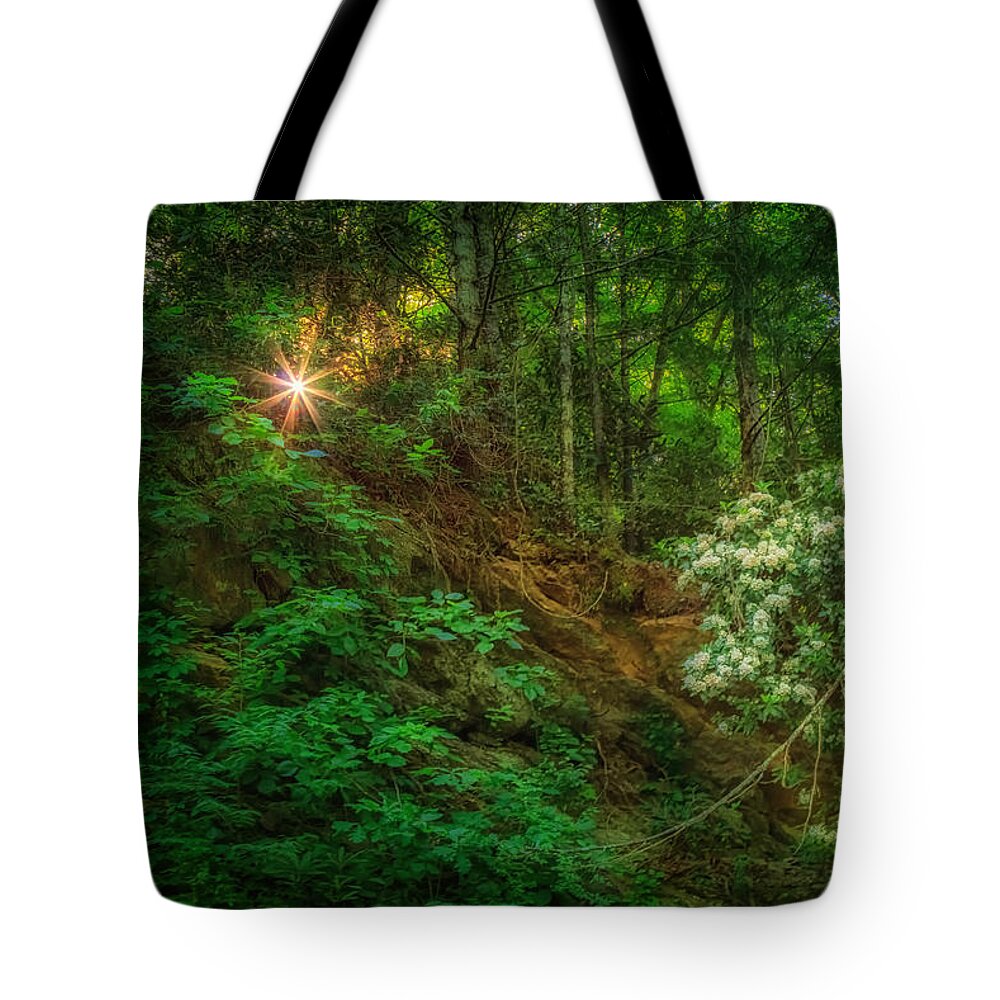 Blue Ridge Mountains Tote Bag featuring the photograph Smoky Spring Rhododendron by Sylvia J Zarco