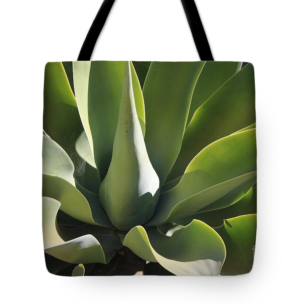 Agave Tote Bag featuring the photograph Smooth Agave by Carol Groenen