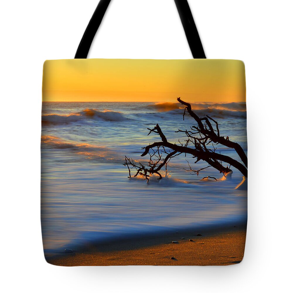 Nauset Beach Tote Bag featuring the photograph Smooth Move - Nauset Beach Orleans by Dianne Cowen Cape Cod Photography