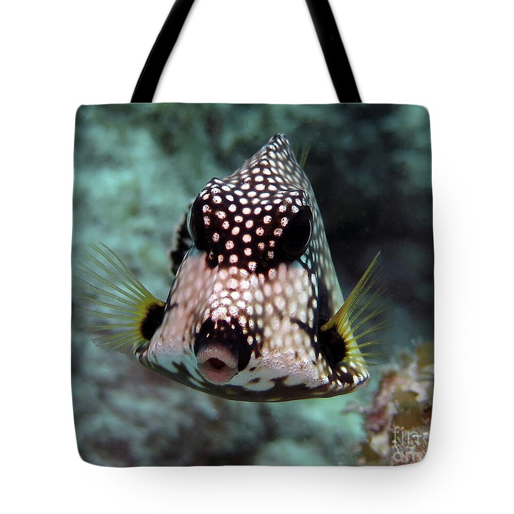 Underwater Tote Bag featuring the photograph Smooth Trunkfish by Daryl Duda