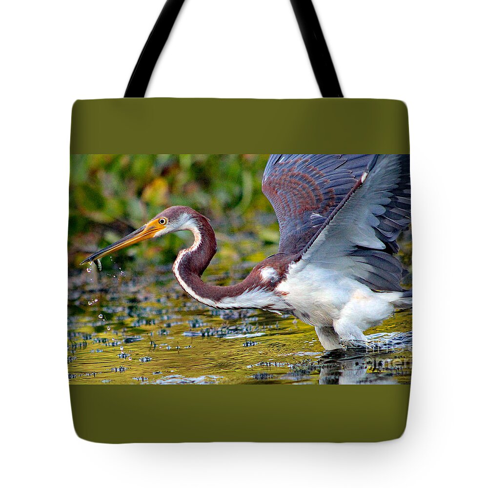 Art Tote Bag featuring the photograph Snack - Signed by DB Hayes