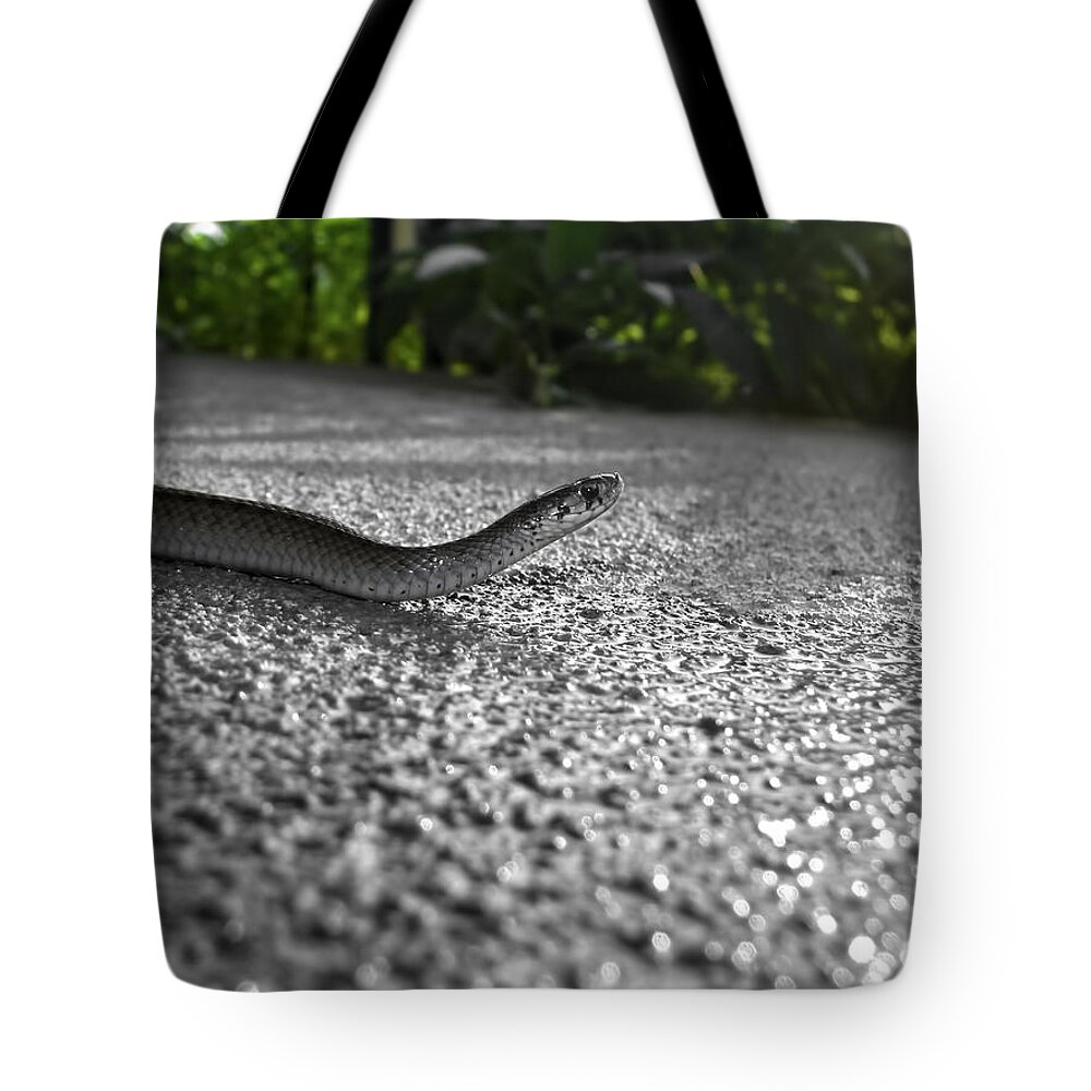 Snake Tote Bag featuring the photograph Snake in the Sun by Amber Flowers