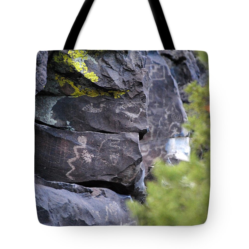 Petroglyphs Tote Bag featuring the photograph Snake with Lichen by Glory Ann Penington