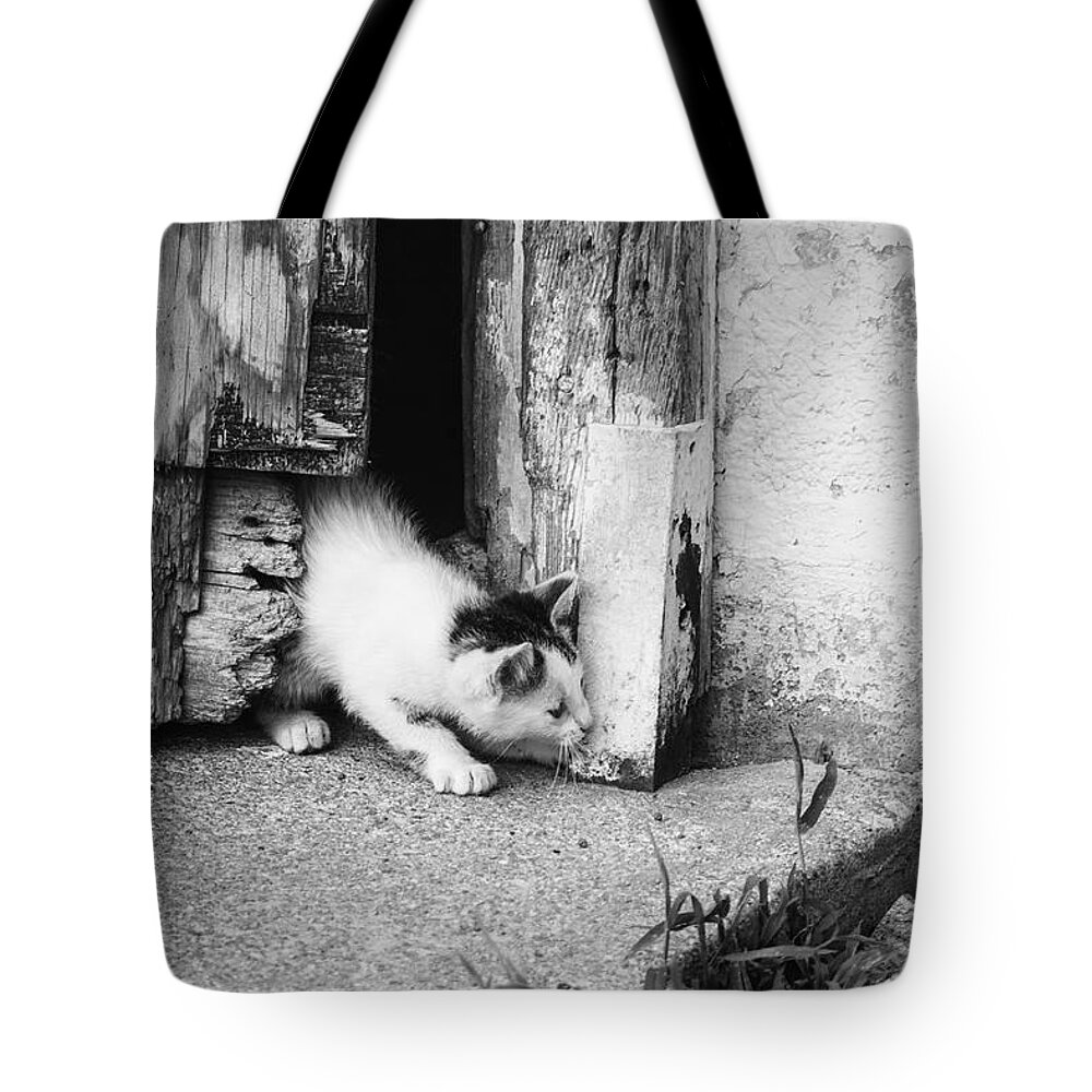 Jay Stockhaus Tote Bag featuring the photograph Sneak Attack by Jay Stockhaus