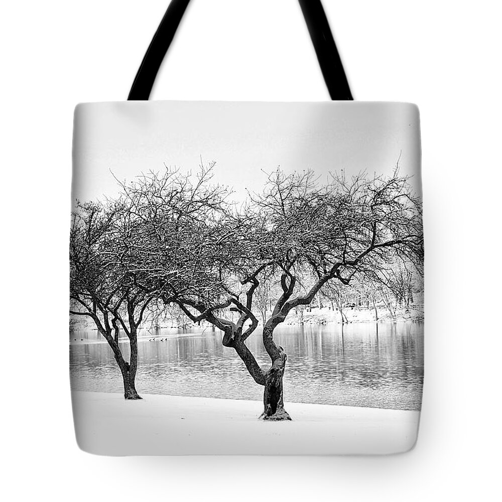 Snow Tote Bag featuring the photograph Snow Along the Schuylkill River by Bill Cannon