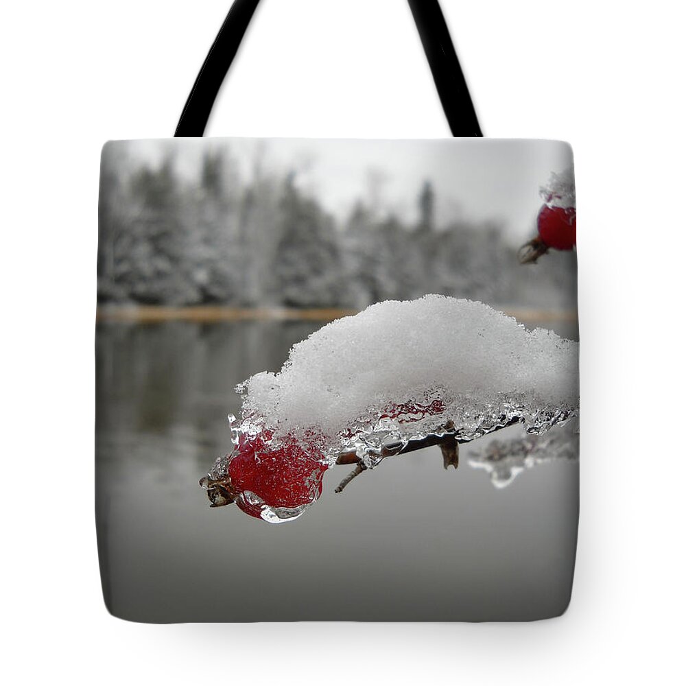 Snow Tote Bag featuring the photograph Snow and Ice on Wild Rose Hip by Kent Lorentzen