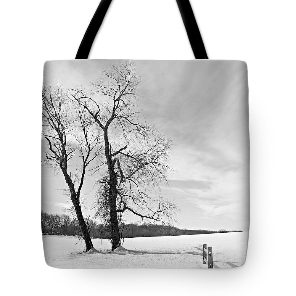 Richard Reeve Tote Bag featuring the photograph Snow and Trees by Richard Reeve