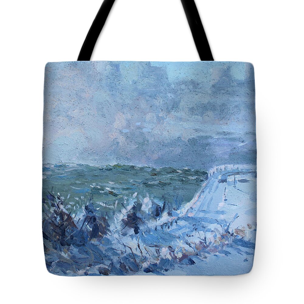 Snow Tote Bag featuring the painting Snow at Horseshoe Falls by Ylli Haruni