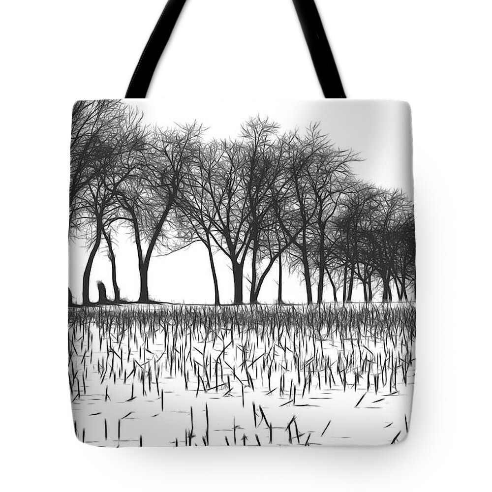 Nature Tote Bag featuring the photograph Snow Bare Trees Black White by Chuck Kuhn