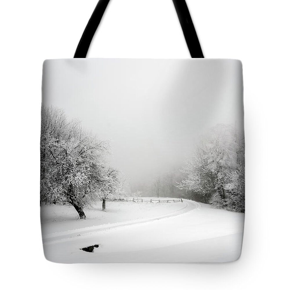 Snow Tote Bag featuring the photograph Snow Bound by Greg Reed