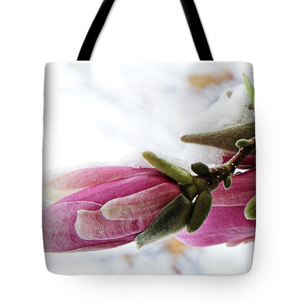Magnolia Blossoms Tote Bag featuring the photograph Snow Capped Magnolia Blossoms by Andee Design